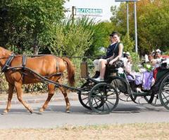 Carrozza d'epoca per il matrimonio