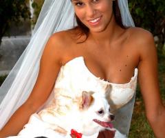 La sposa con i suoi amici a 4 zampe