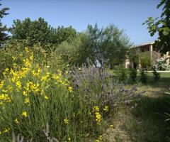 Agriturismo Ripabianca