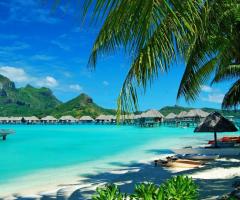 Hawaii... dove è possibile incontrare tartarughe giganti!