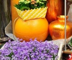 Fiori per bordura - Giusy Fiori a Torino