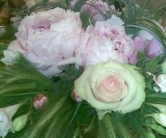 Rose & Peonie