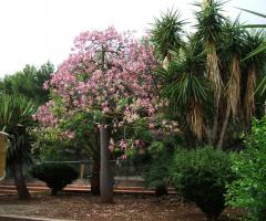 L'incantevole giardino dell'Hotel Azzolini