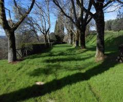 Sotto ai tigli - Piantina di Villa Agliano