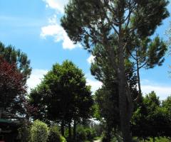 Agriturismo immerso nel verde.