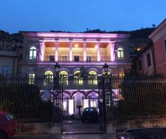 Palazzo Borromeo - Il palazzo