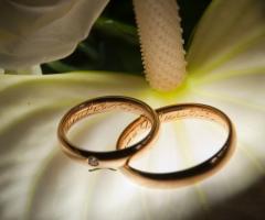 Fotografia delle fedi nuziali