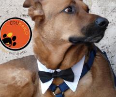 JMD Professionisti al vostro servizio