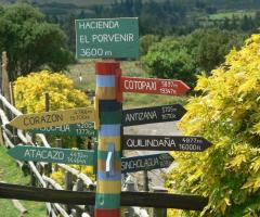 Viaggi Responsabili Org - I viaggi di nozze in SudAmerica - Perù, Ecuador e Galapagos, Argentina