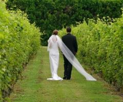 Ricevimento di matrimonio nei vigneti