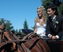 Sposi a cavallo durante il ricevimento nuziale