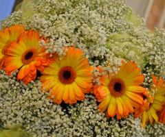 Composizioni laterali - La Bottega del Fiore