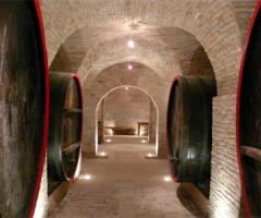 Le botti della prestigiosa azienda vinicola Spalletti Colonna