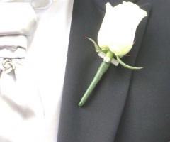 Fiore all'occhiello - Florart di Laura Zaccherini