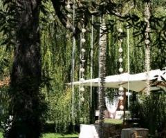 Coreografia di piante e fiori nel parco