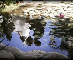 Il riflesso degli sposi