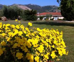 Giardino della villa per il matrimonio a Latina