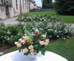 Giardino della Barchessa a Treviso