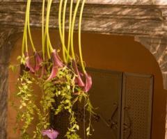 Addobbo floreale moderno per il matrimonio