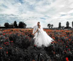 Tra i papaveri - Andrea Baccalino Fotografo