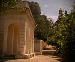 particolare del giardino