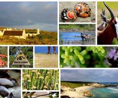 Meladiverto Viaggi - Tour operator e viaggi di nozze