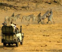 Roberto Di Francesco Consulente CartOrange - Botswana
