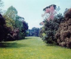 Parco antica fattoria Frassanelle a Padova