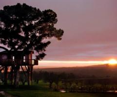 Tramonto romantico sull'agriturismo La Piantata