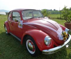 Maggiolino sposi Lucca - Maggiolino Settimino