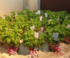 Cadeaux - P.R. Events