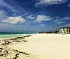 Alda Bianco - Viaggi di nozze in Messico