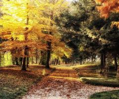 Villa Tacchi di Quinto - I colori della natura