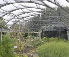 le serre per la coltivazione