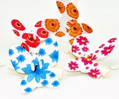 Farfallina e Pergamena