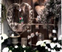 Vetrina febbraio 2014 - Fiori di Campo