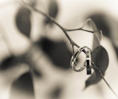 Dettagli - Carlo Bon Photography