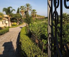 Villa Dominici - Giardino della location