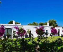 Masseria Eccellenza - Una vista della location dai giardini
