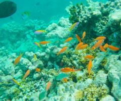 Maldive
Al cuore del mondo