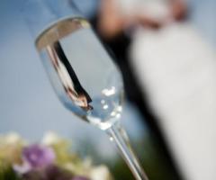 Foto del brindisi degli sposi