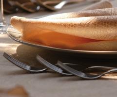 Negri Ricevimenti - Catering per il matrimonio a Brescia