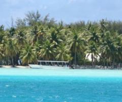 Kasanova - Viaggio di nozze in Polinesia