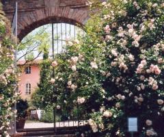 Villa Il Palazzo per il matrimonio a Sciolze (Torino)