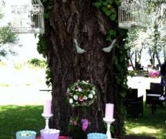 Allestimento esterno per ricevimento nuziale