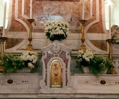 Vivaio Nicola Antonio Giraudi - La begonia eliator e lobularia in cesto