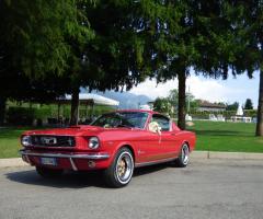 AmaRena - Wedding and event planner - Ford mustang
