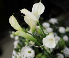 Calle e Lisianthus - Emozioni Floreali