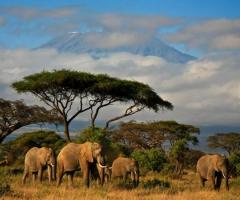 Kenya esplosione di natura