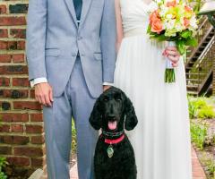 Pet Sister - Insieme al matrimonio per le foto